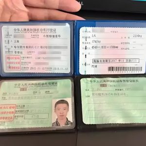 办理假驾驶执照