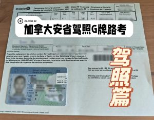 办理加拿大驾驶执照