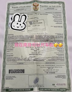 办理南非驾驶执照