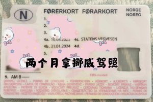 办理挪威驾驶执照