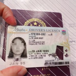 办理法国驾驶执照