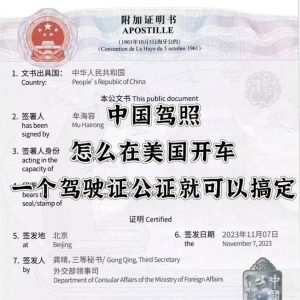办理美国驾驶执照