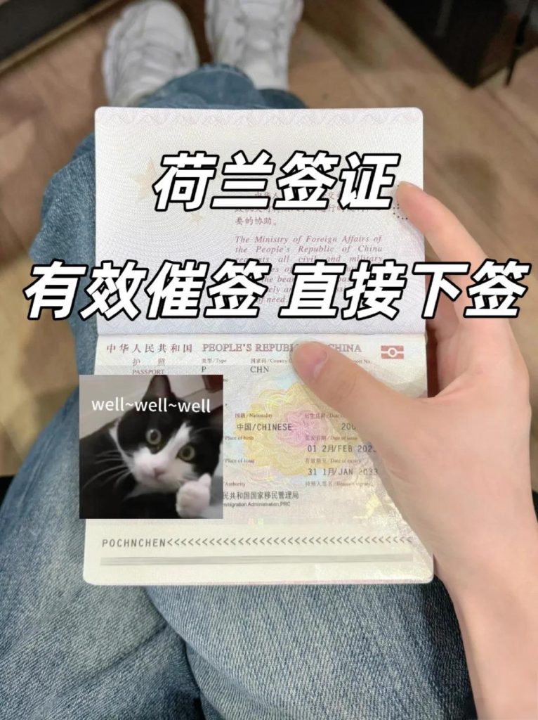办理荷兰签证