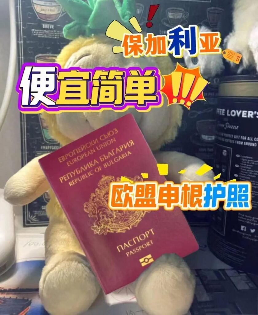 办保加利亚护照,,办保加利亚驾驶证