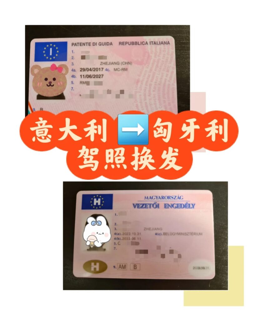 办匈牙利驾驶证