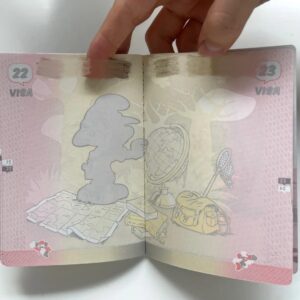 办比利时护照