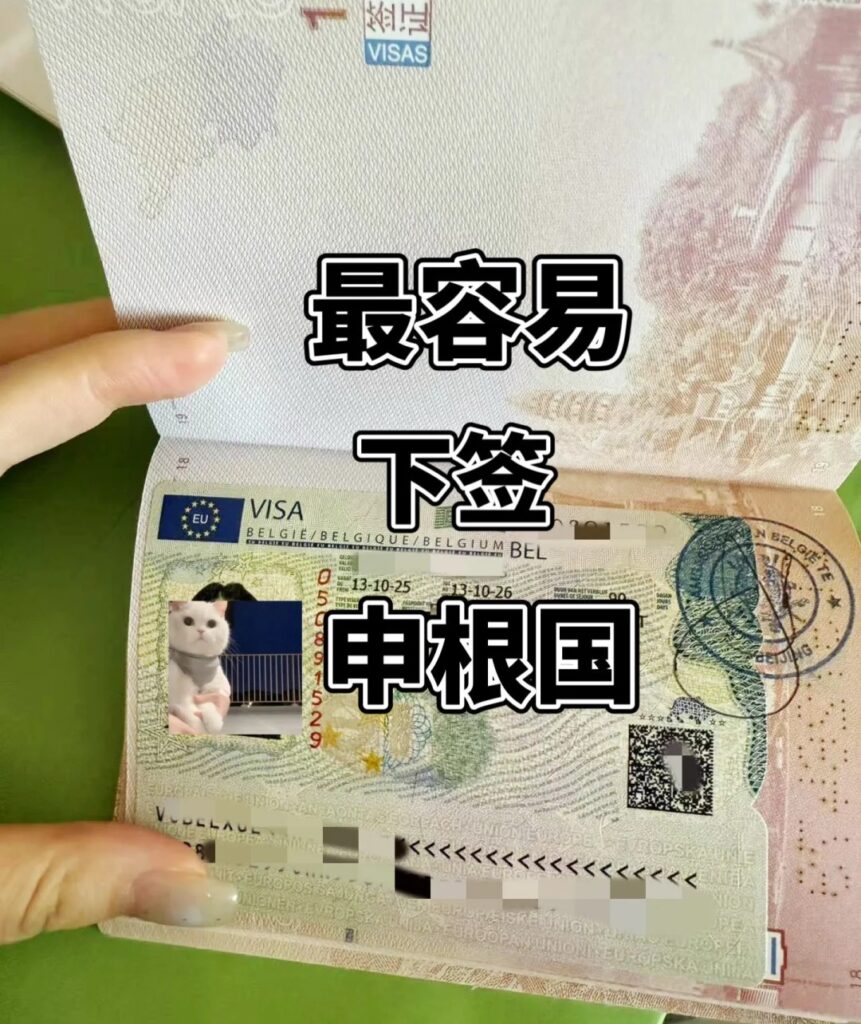 办比利时护照