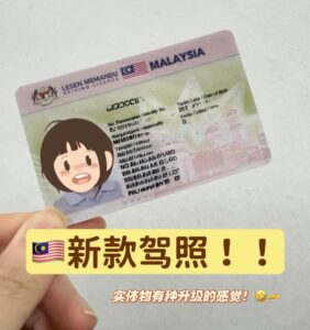 办假立陶宛驾驶证