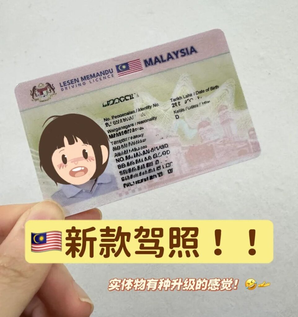 办假立陶宛驾驶证
