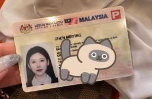 办马来西亚驾驶证