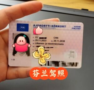 购买芬兰驾驶执照