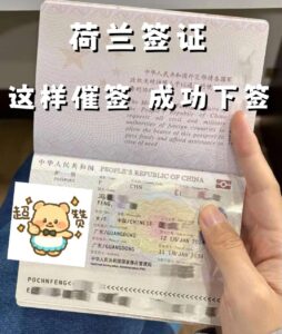 购买荷兰护照