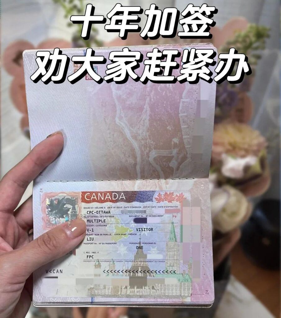 购买荷兰护照