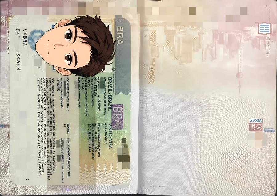 购买巴西护照