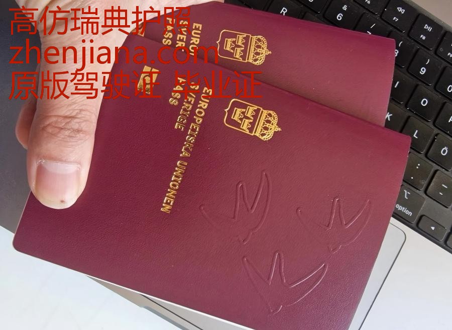 办瑞典护照