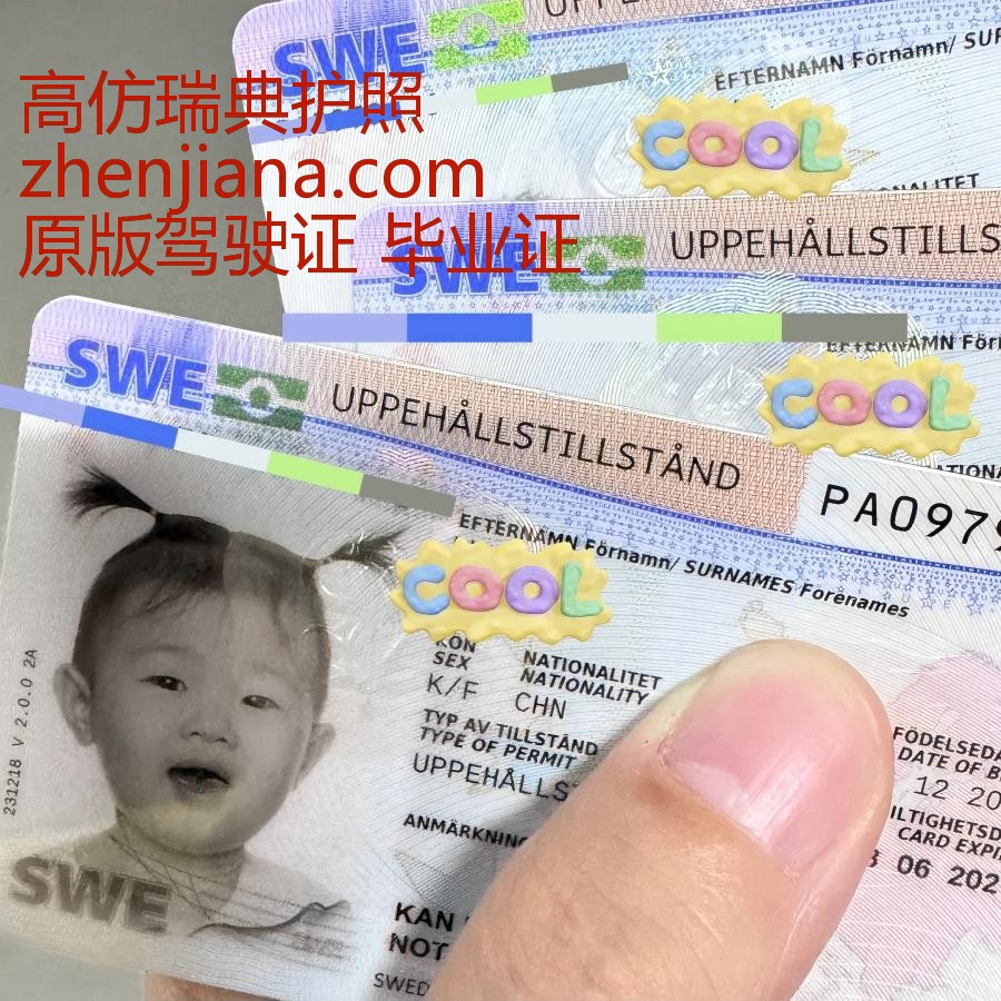 办瑞典护照