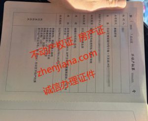 办证 certificate processing