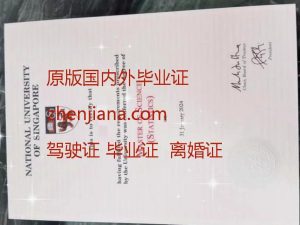 办亚琛工业大学毕业证