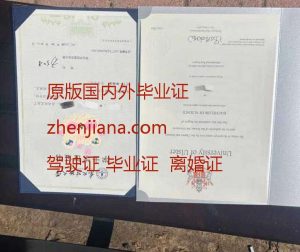 办伦敦大学学院毕业证 Obtain a University College London (UCL) diploma