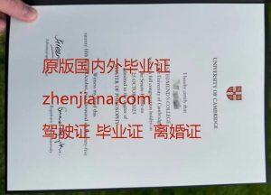 办伯尔尼大学毕业证 Obtain a University of Bern diploma