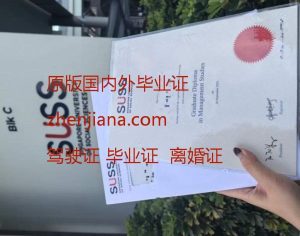 办卡尔斯鲁厄理工学院毕业证