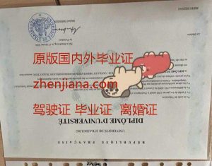 办巴黎萨克雷大学毕业证 Obtain a diploma from Université Paris-Saclay