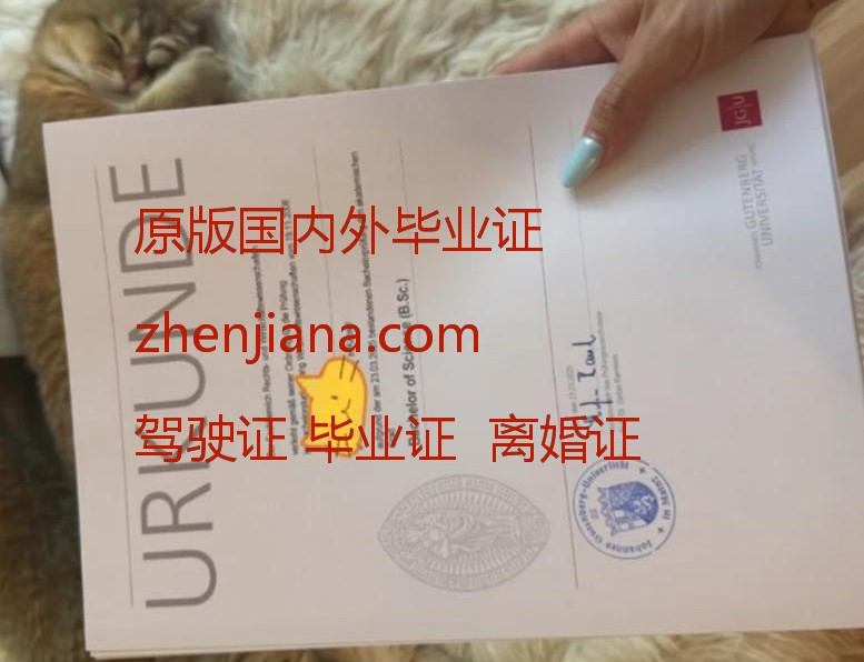 办慕尼黑大学毕业证 Obtain a Munich University diploma