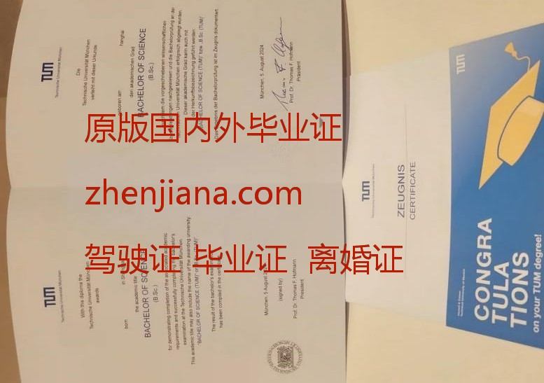 办慕尼黑工业大学毕业证