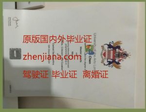 办柏林工业大学毕业证 Obtain a diploma from the Technical University of Berlin
