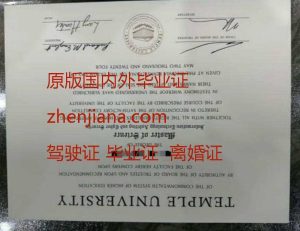 办柏林自由大学毕业证