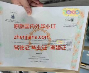 办格勒诺布尔阿尔卑斯大学毕业证 办格勒诺布尔大学毕业证