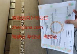 办索邦大学毕业证 Obtain a Sorbonne University diploma