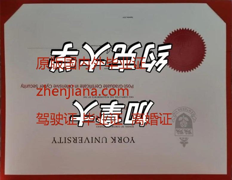 办约克大学毕业证