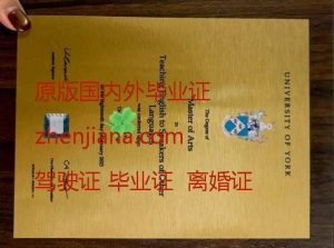 办约克大学毕业证 Obtain a York University diploma