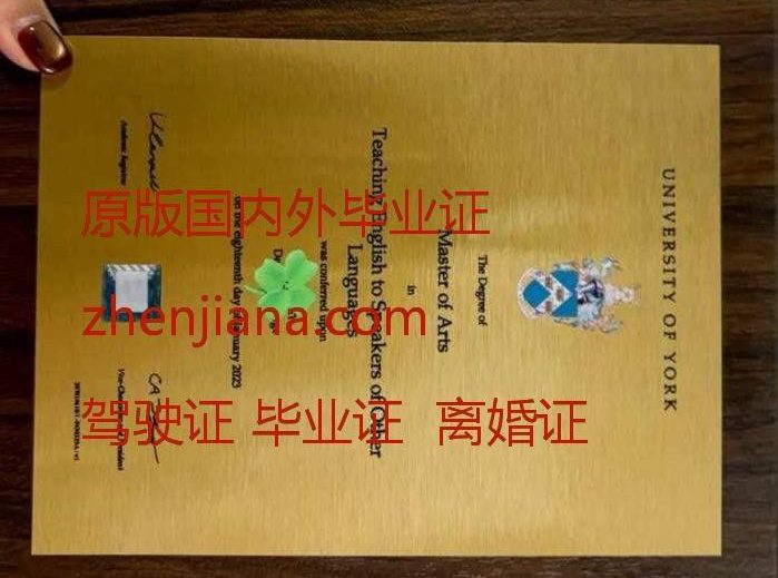 办约克大学毕业证 Obtain a York University diploma