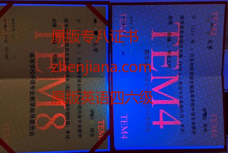 办英语专八证书 Obtain a TEM-8 Certificate