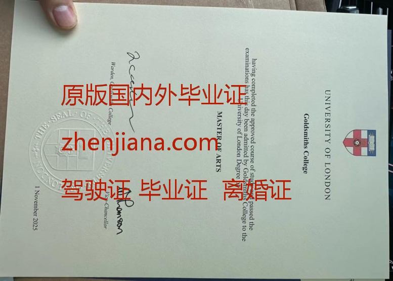 办里尔大学毕业证