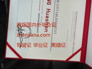 办里尔大学毕业证 Obtain a diploma from the University of Lille