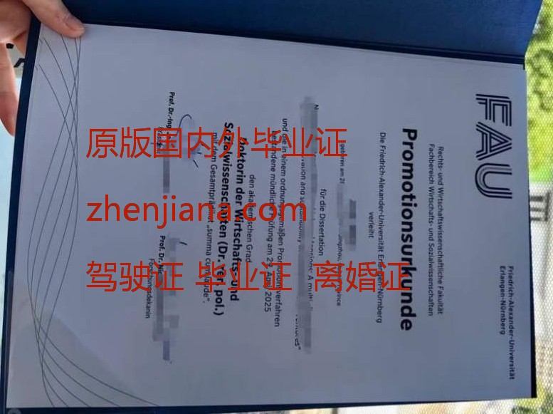 办里昂国立应用科学学院毕业证