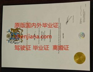 办里昂国立应用科学学院毕业证