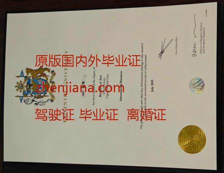 办里昂国立应用科学学院毕业证