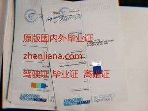 办里昂第一大学毕业证