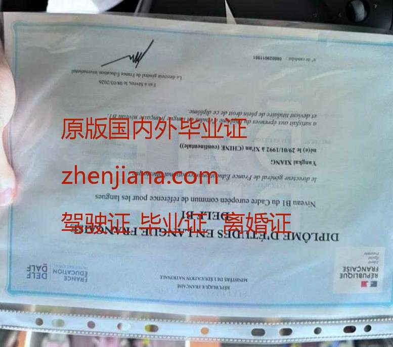 办里昂高等师范学院毕业证 Obtain a diploma from École Normale Supérieure de Lyon