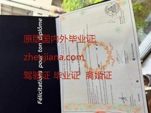 办马赛大学毕业证 Obtain a University of Marseille diploma
