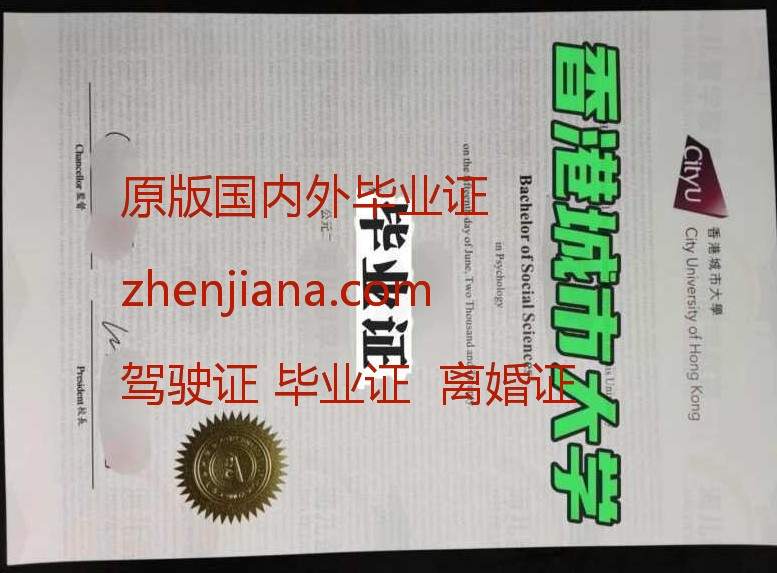 办马赛大学毕业证 Obtain a University of Marseille diploma