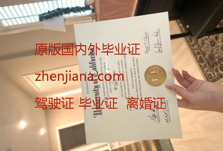 办世宗大学毕业证