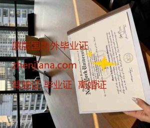 办世宗大学毕业证