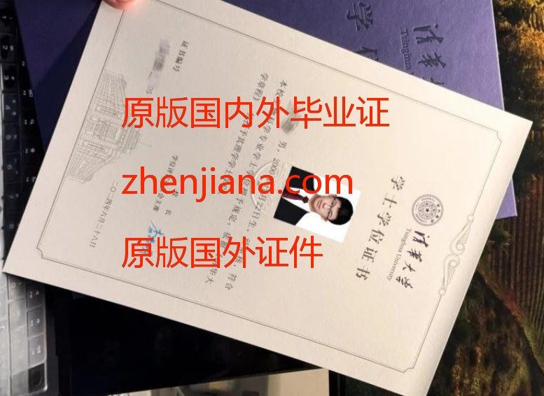 办加图立大学毕业证
