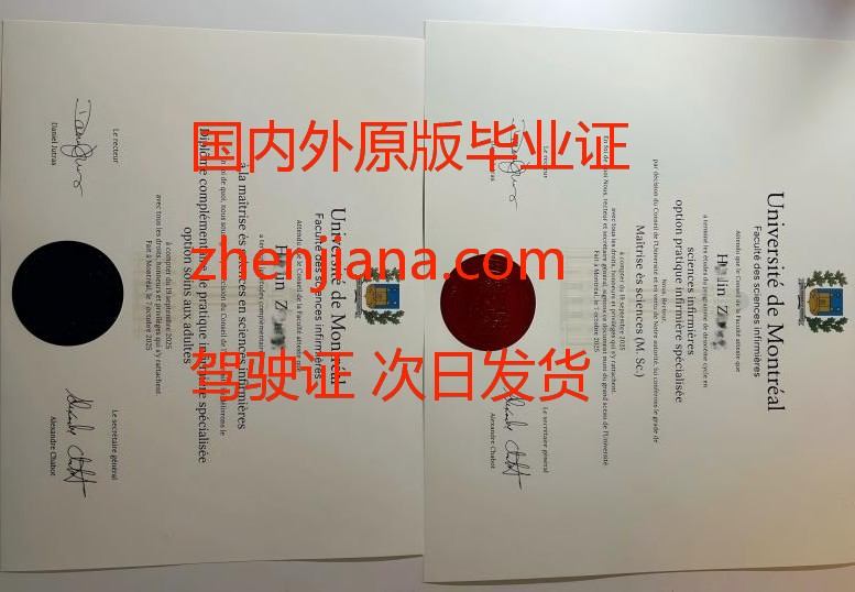 办南丹麦大学毕业证