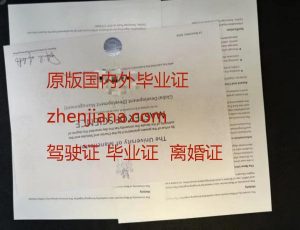 办南昆士兰大学毕业证